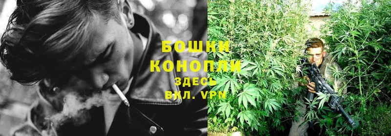 Бошки Шишки индика  Кушва 